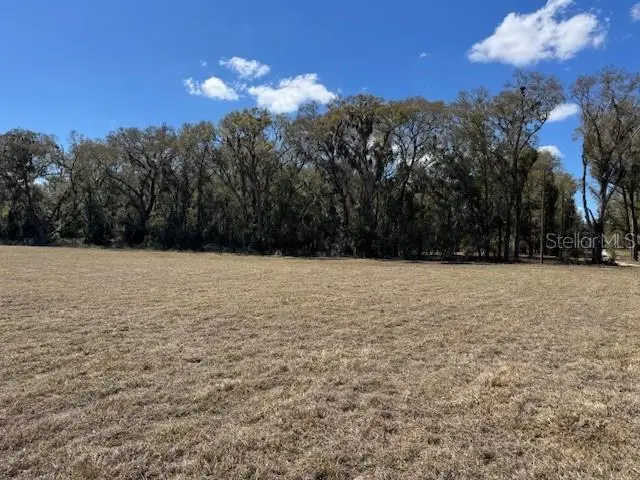 0 NE 141st Street, Citra, FL 32113 - #2