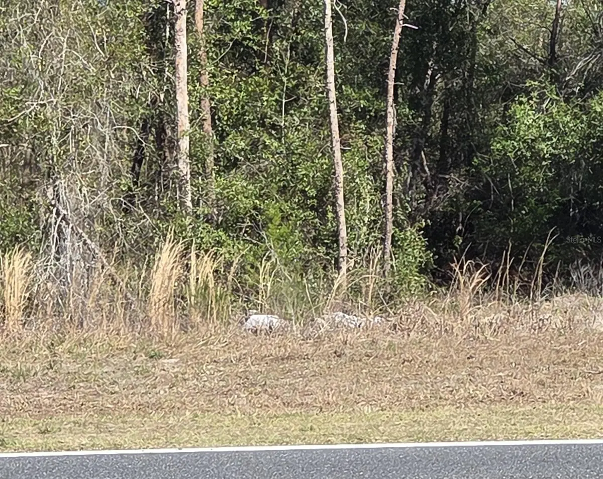 Bay Road, Ocklawaha, FL 32179 - #1