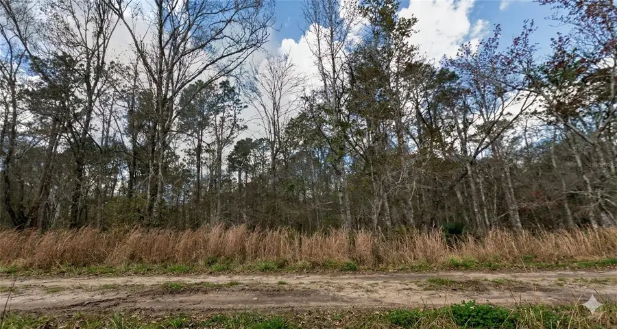 10335 Hennessey Avenue, Hastings, FL 32145 - #3