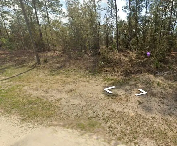 SW 28 Lane, OCALA, FL 34481
