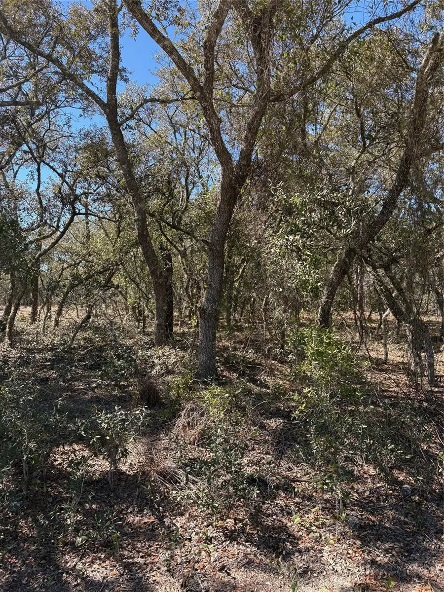 TBA SE Se 132nd Court Court, Dunnellon, FL 34431 - #1