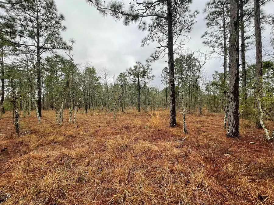 TBD SE 71 Street, Morriston, FL 32668 - #3