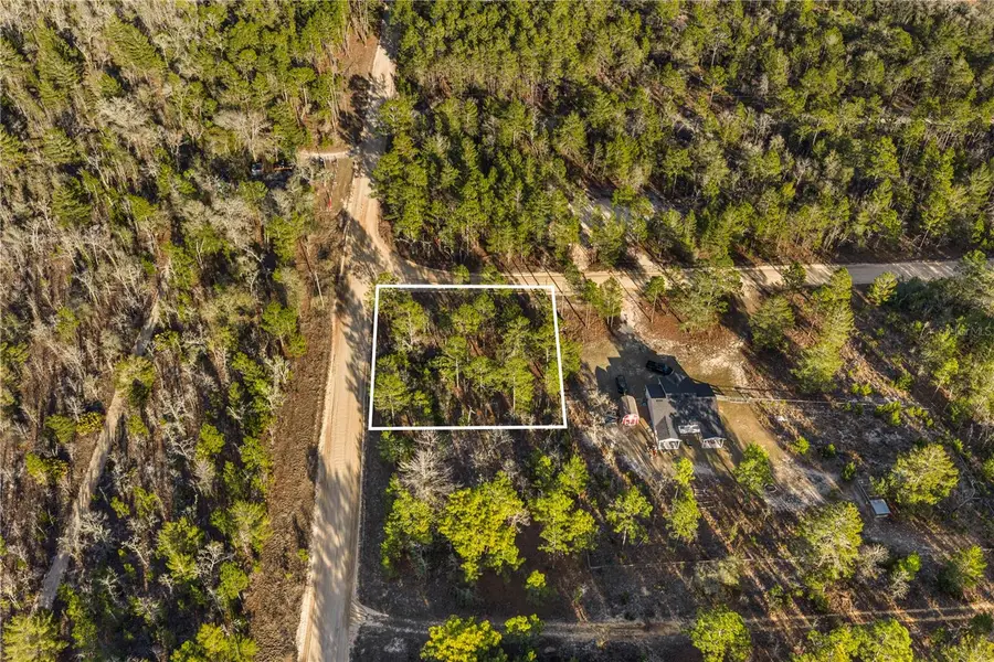 000 Rose Street, Interlachen, FL 32148 - #2