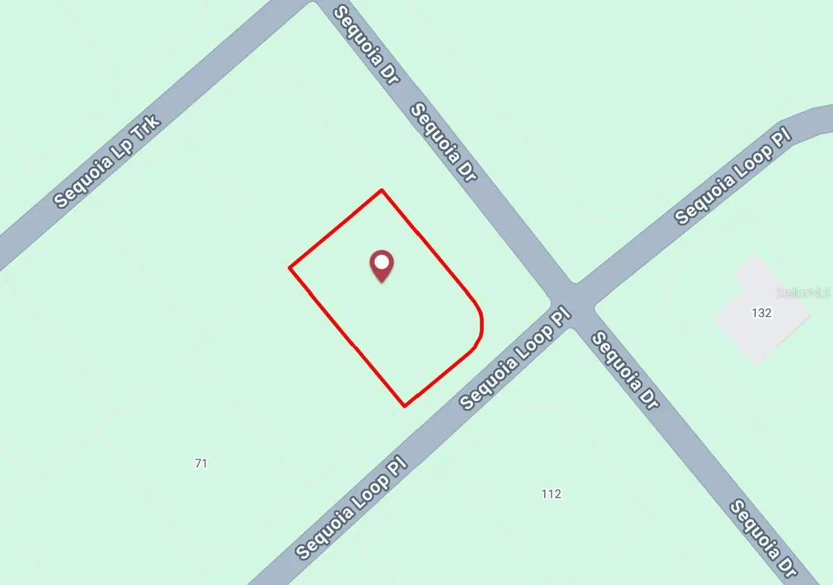 Sequoia Loop, Ocklawaha, FL 32179 - #1