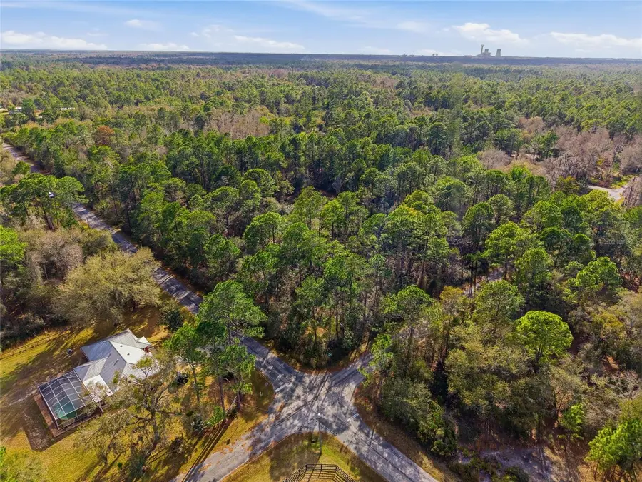 9694 N Cavewood Avenue, Crystal River, FL 34428 - #3