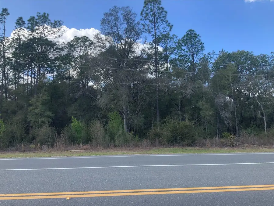 Tba Hwy 41, Dunnellon, FL 34432 - #2