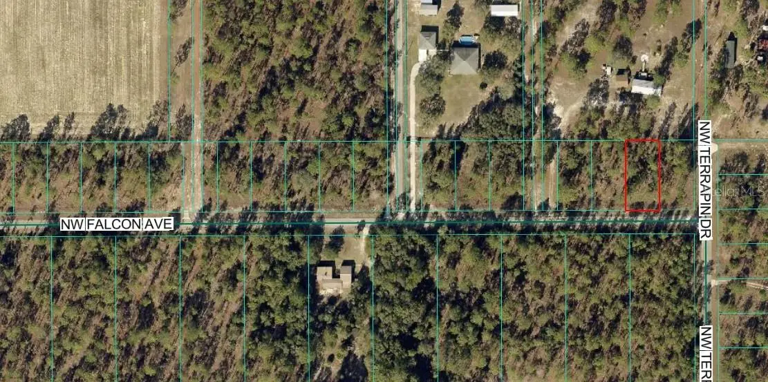 Tbd Nw Falcon Ave, Lot 33, Dunnellon, FL 34431 - #1