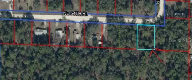 Ne 54 Place, Williston, FL 32696 - #1