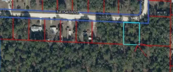 Ne 54 Place, WILLISTON, FL 32696