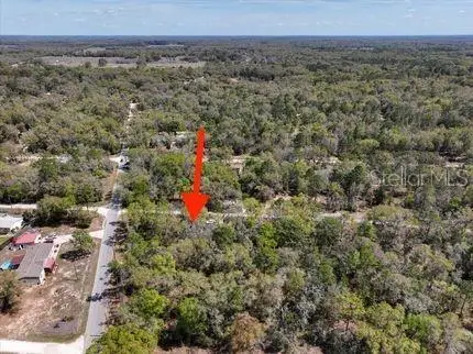 Ne 54 Place, Williston, FL 32696 - #2
