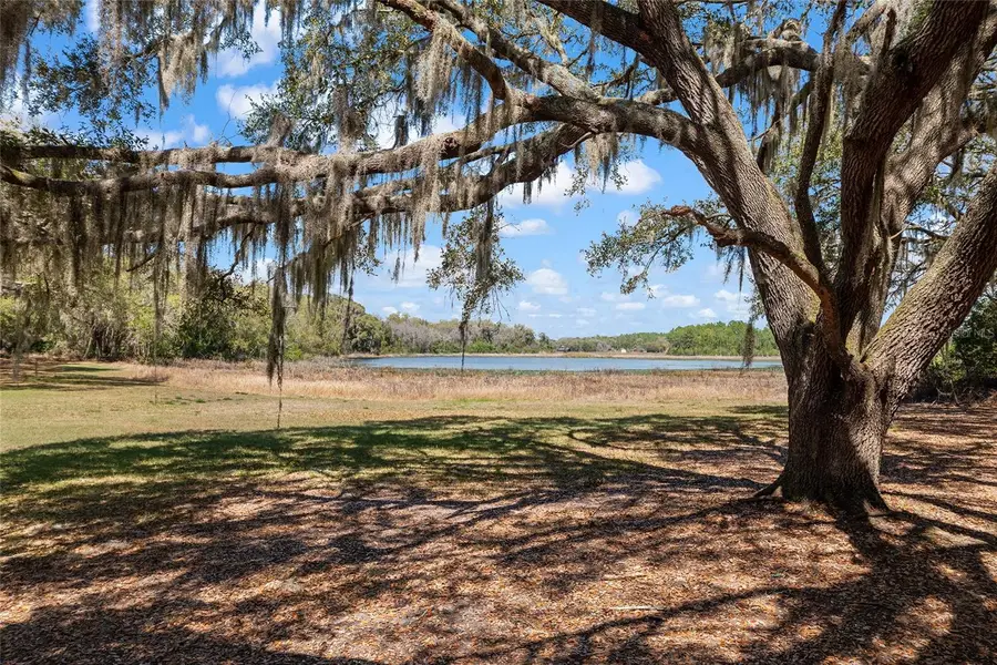 11990 SE 112th Avenue Road, Belleview, FL 34420 - #3