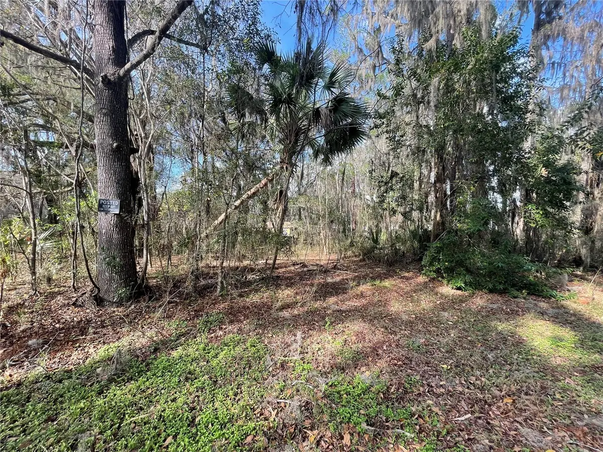 TBD SE 40th Loop, Ocala, FL 34480 - #1