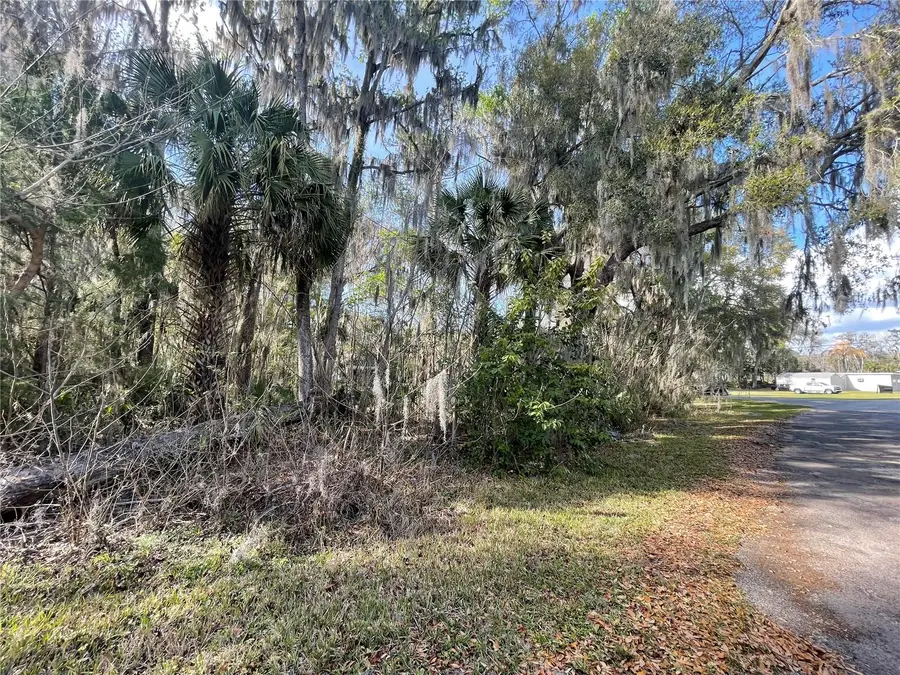 TBD SE 40th Loop, Ocala, FL 34480 - #2