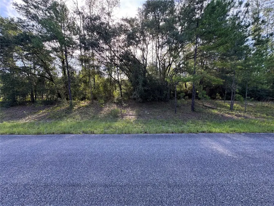 1273 E Toledo Drive, Dunnellon, FL 34434 - #2