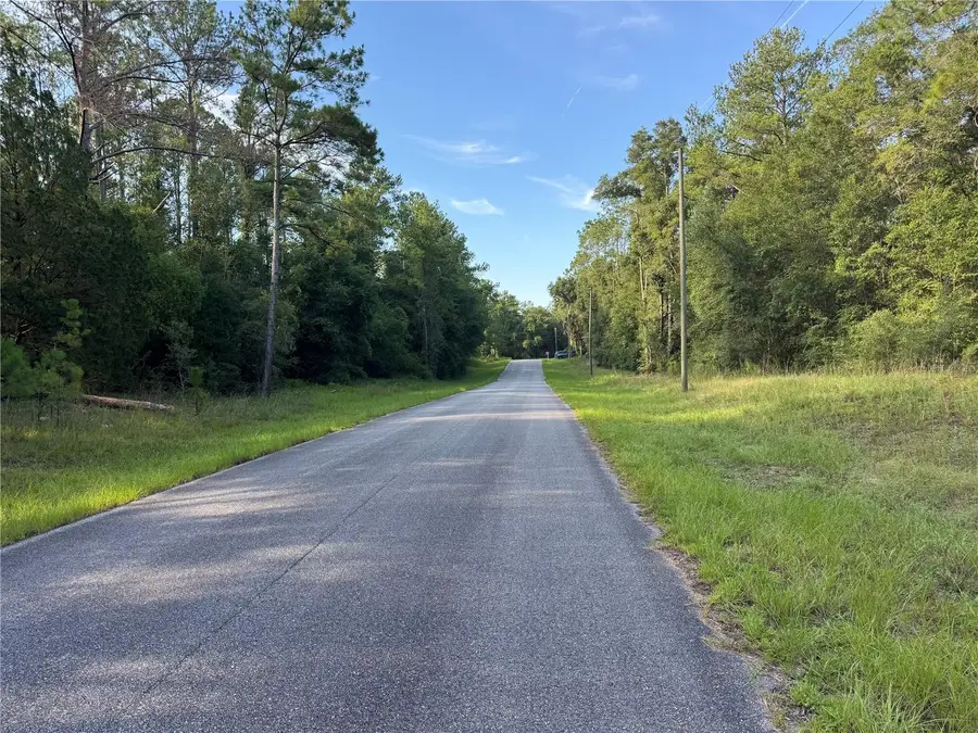1273 E Toledo Drive, Dunnellon, FL 34434 - #3