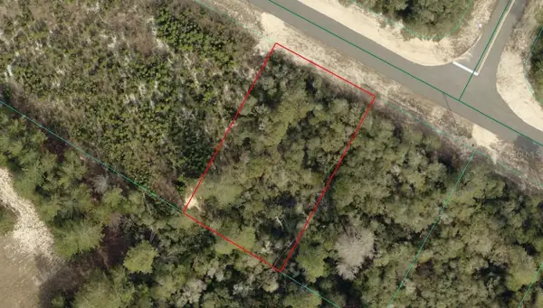 TBD SW 29th Court Road, OCALA, FL 34473