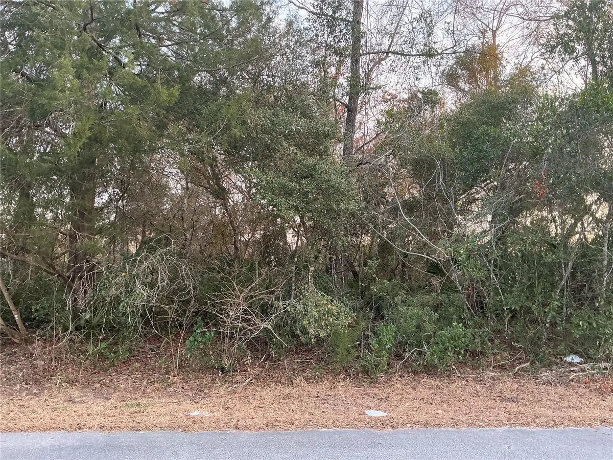 SW 138th Street, Ocala, FL 34473 - #1