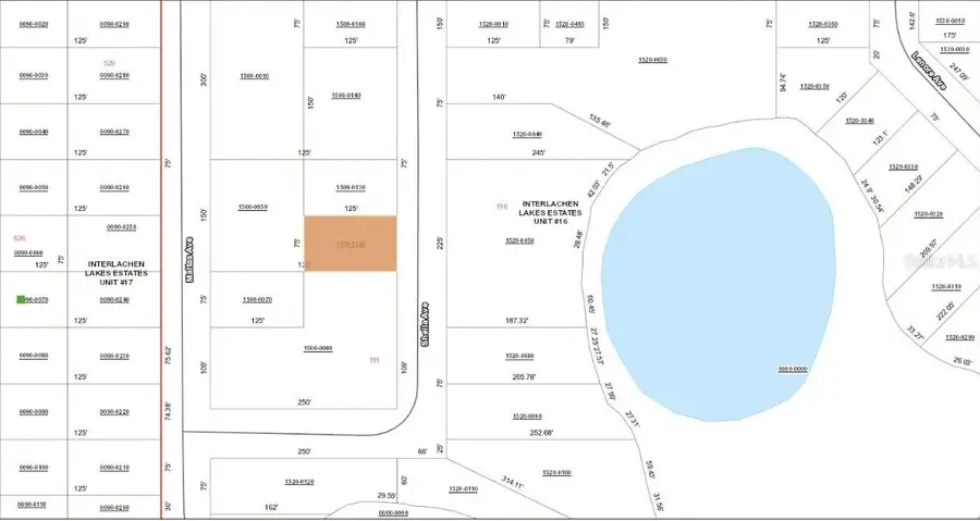 TBD Sheila Avenue, Interlachen, FL 32148 - #2