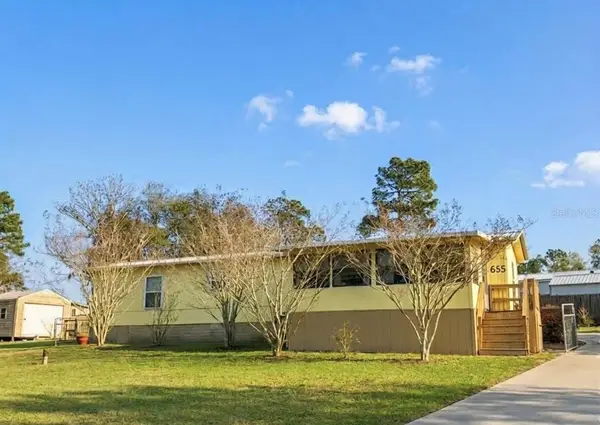 655 SE 162nd Terrace, SILVER SPRINGS, FL 34488