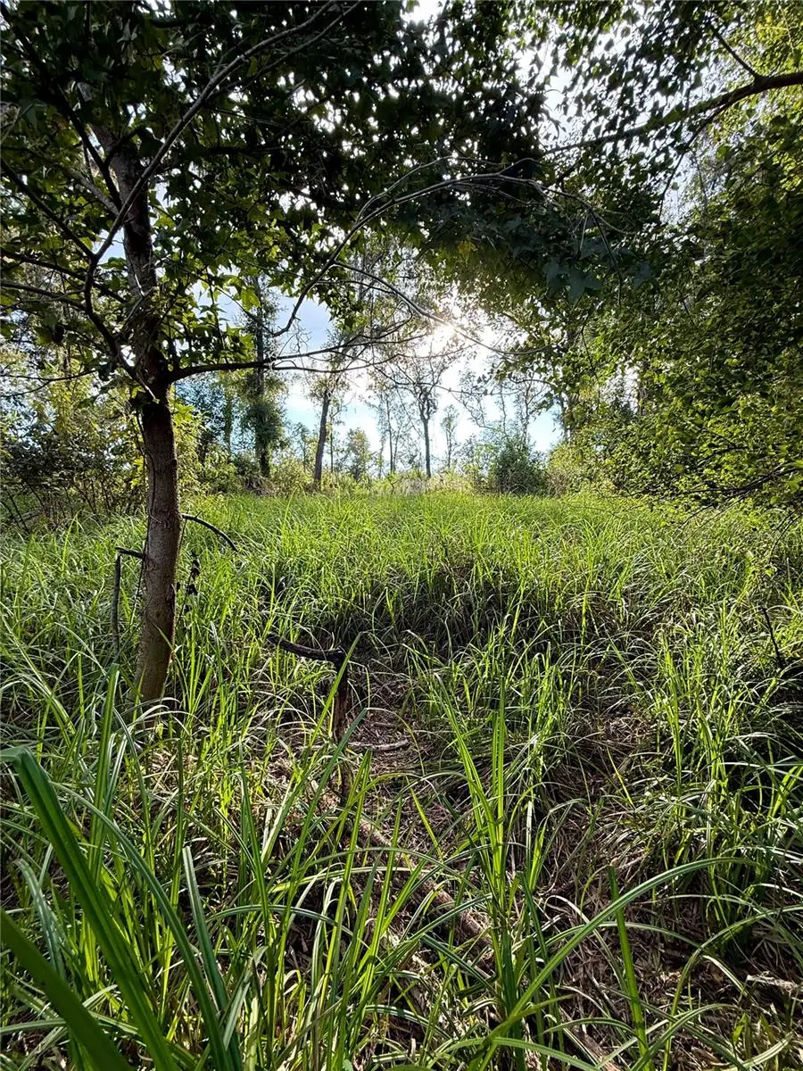 Us Hwy 27, Ocala, FL 34482 - #3