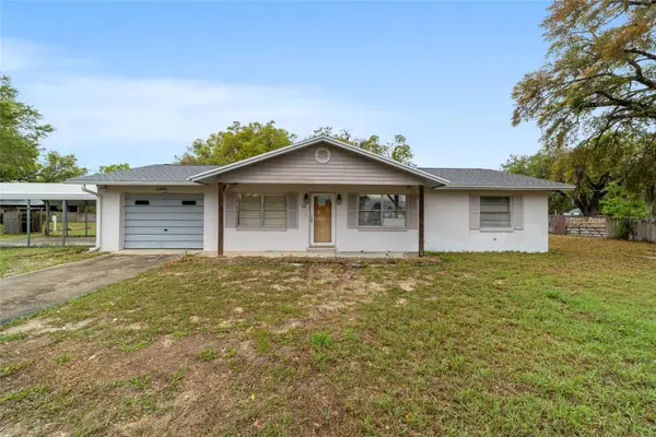 10496 SE Sunset Harbor Road, SUMMERFIELD, FL 34491