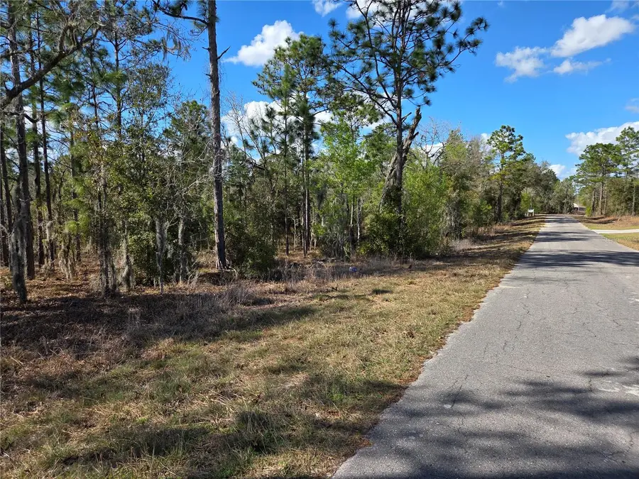 tbd NE 14th Place, Williston, FL 32696 - #3