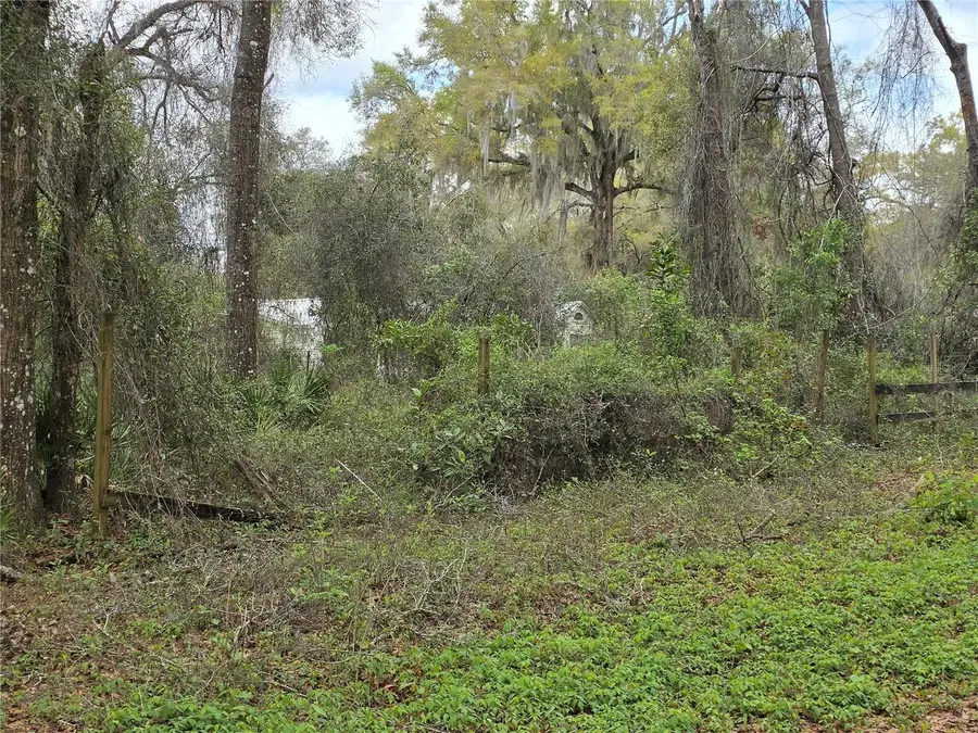 00 SE 30th Avenue, Summerfield, FL 34491 - #3