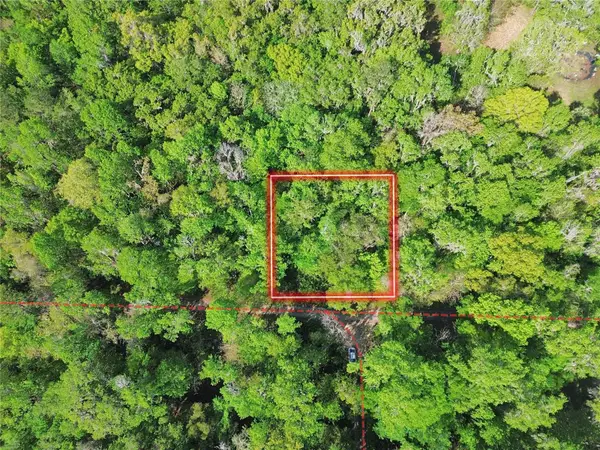 TBD SE 41st Terrace, BELLEVIEW, FL 34420