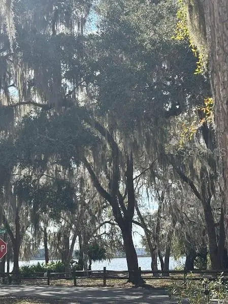 25146 NE 140th Loop #71, Salt Springs, FL 32134 - #1