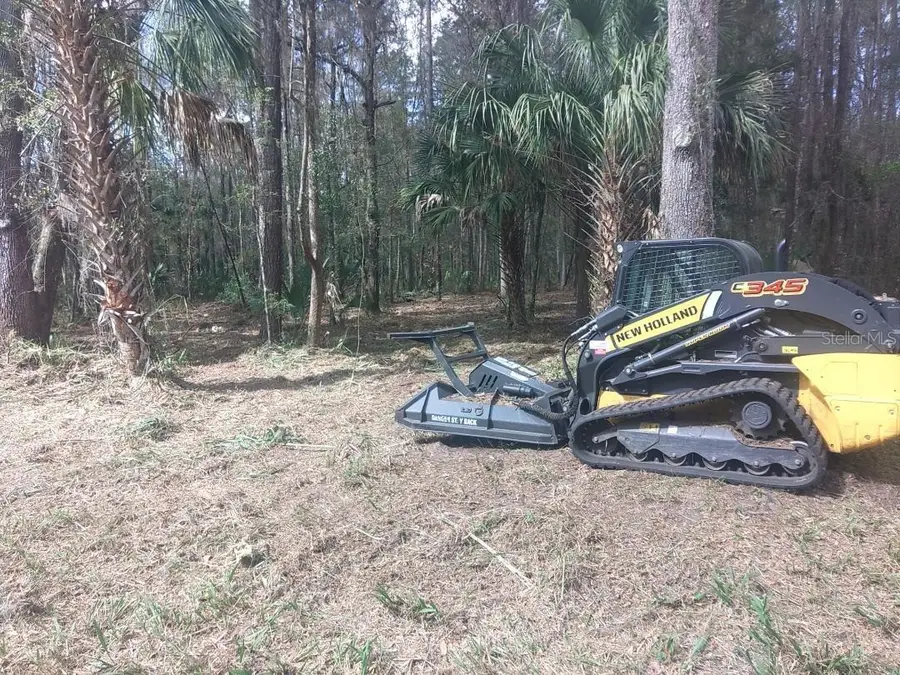 18954 County Rd 329, Micanopy, FL 32667 - #2