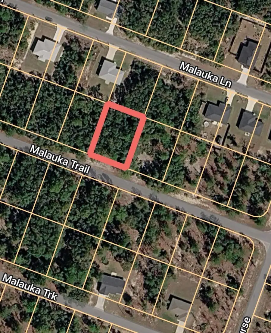 Malauka Trail, Ocklawaha, FL 32179 - #2