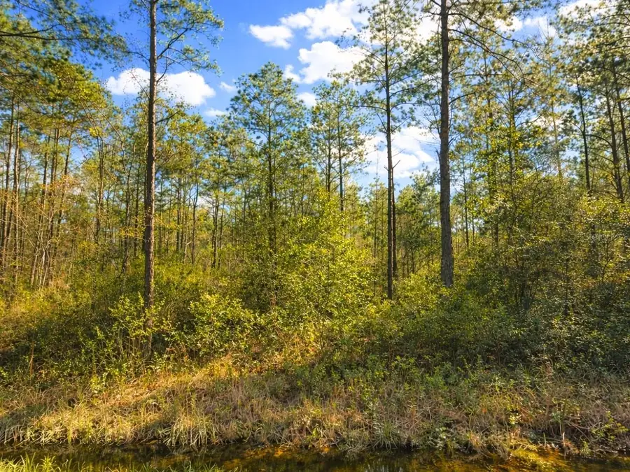 10620 Delgado Avenue, Hastings, FL 32145 - #2