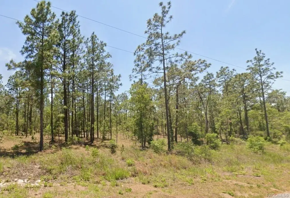 0 NW Water Oak #5, Dunnellon, FL 34431 - #1