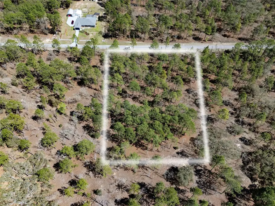 Holly Rd, Dunnellon, FL 34432 - #3