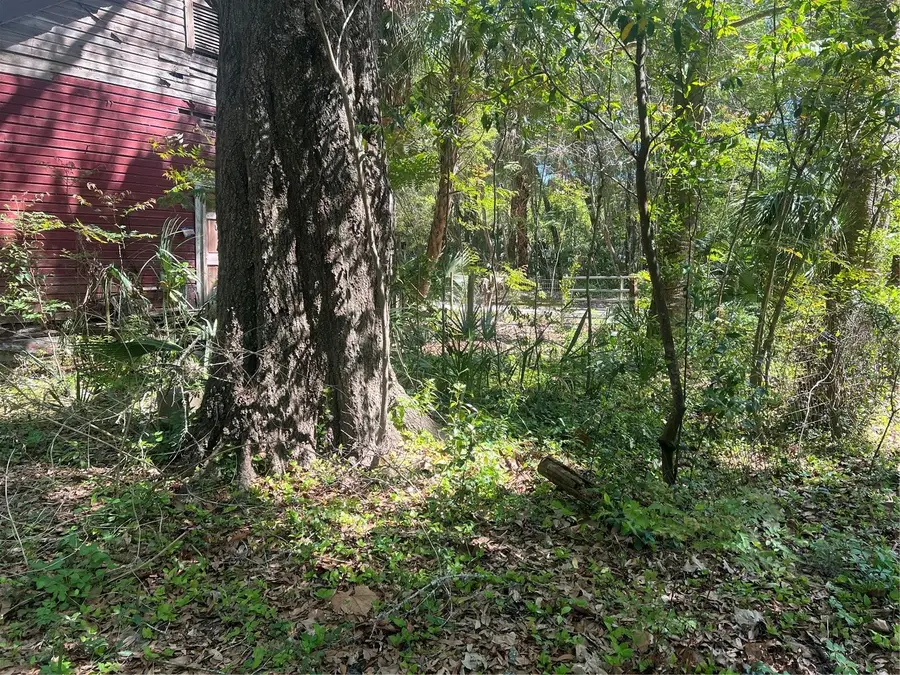 Tbd Se 2 St, Williston, FL 32696 - #3