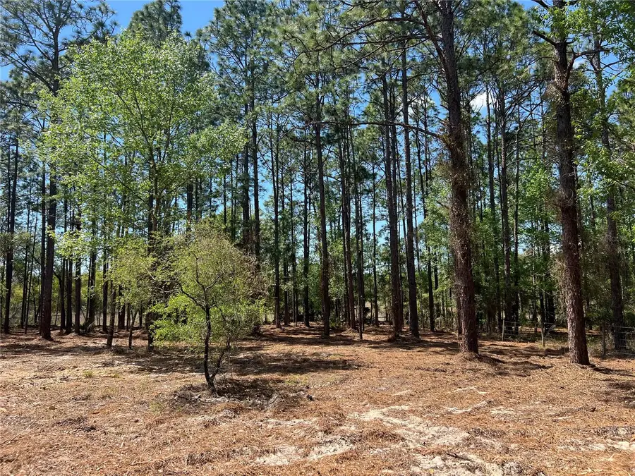 24 SE 130 Court, Dunnellon, FL 34431 - #2