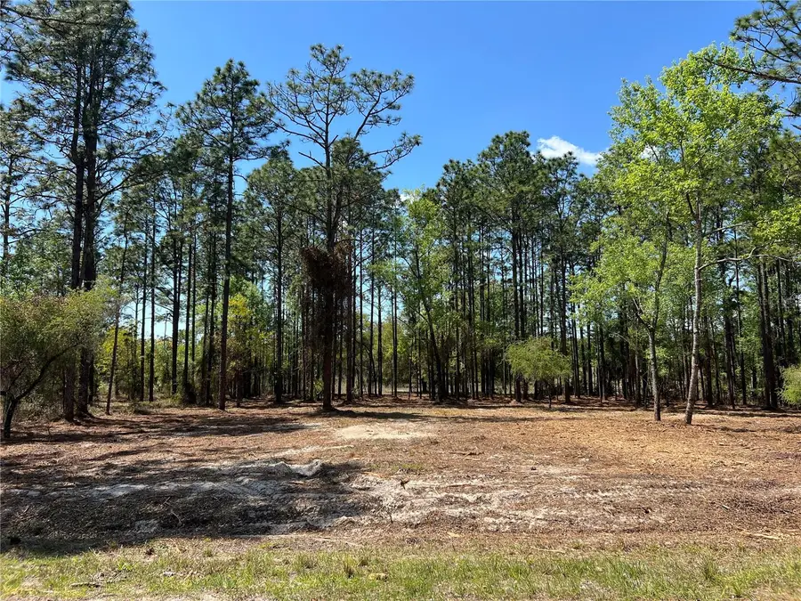 24 SE 130 Court, Dunnellon, FL 34431 - #3