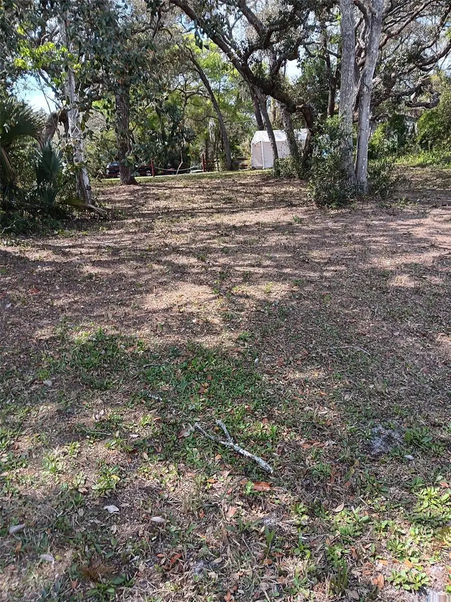 17195 SE 70th Street, Ocklawaha, FL 32179 - #3