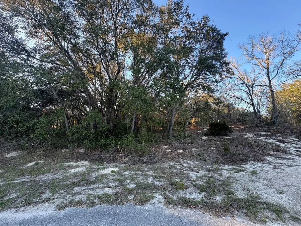 0 SW 147th Street Road, Ocala, FL 34473 - #1