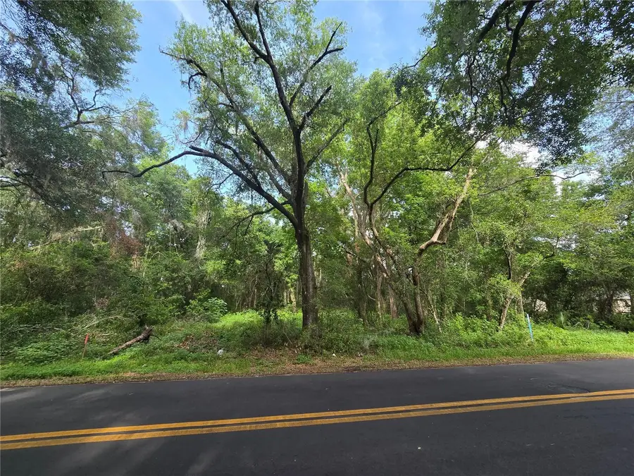 TBD S St Clair Street, Wildwood, FL 34785 - #2