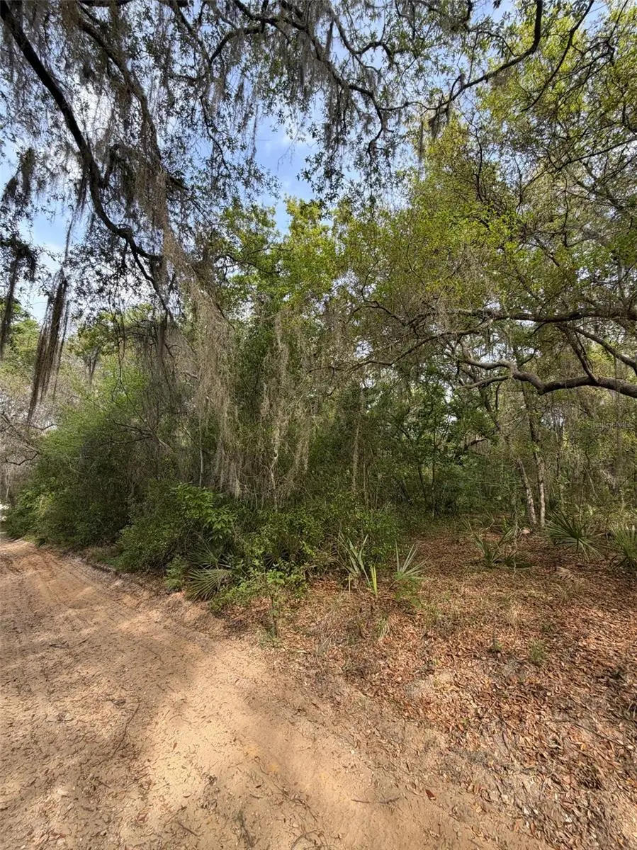 TBD NE 213th Street, Fort McCoy, FL 32134 - #3