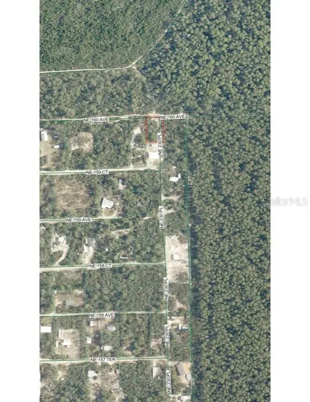 TBD NE 230th Place, Fort McCoy, FL 32134 - #1