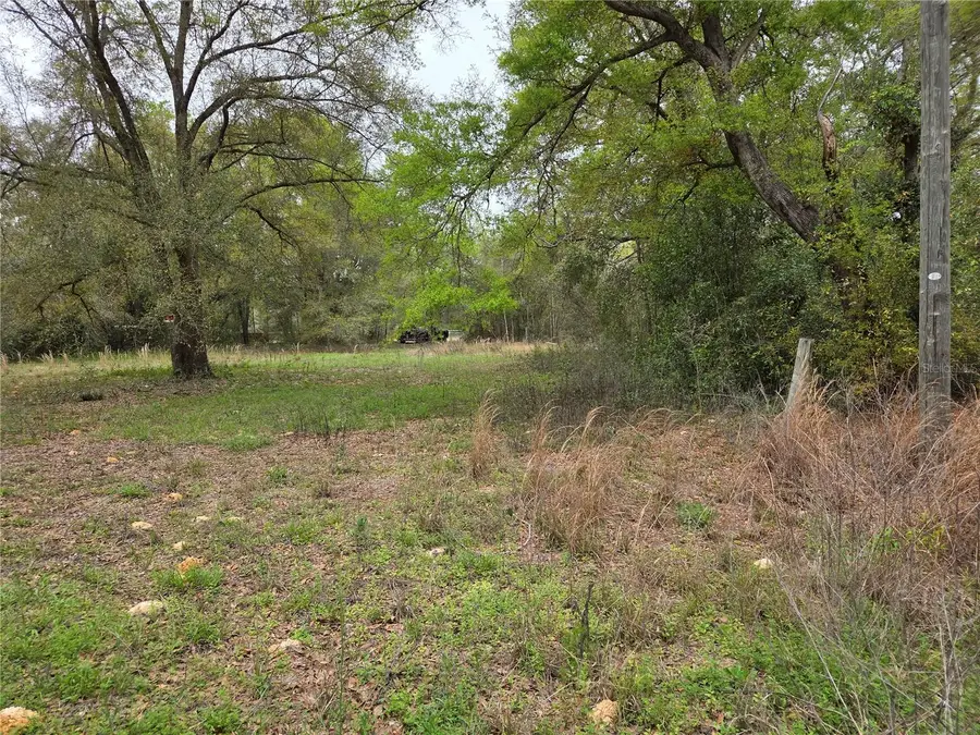 5870 NE 139th Avenue, Williston, FL 32696 - #3