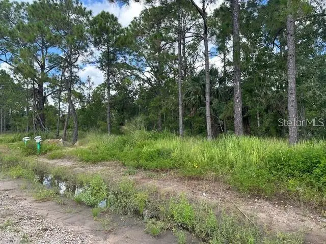 274 Spoonbill Drive, Poinciana, FL 34759 - #2