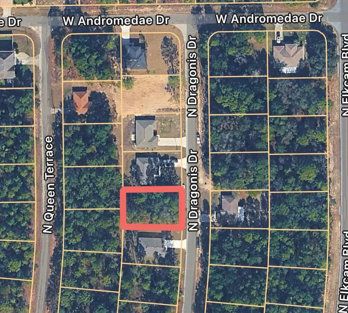 10924 N Dragonis Drive, Citrus Springs, FL 34433 - #1