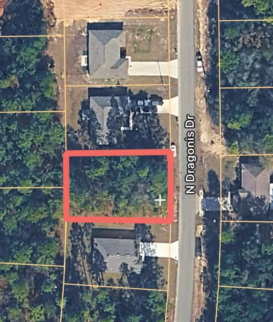 10924 N Dragonis Drive, Citrus Springs, FL 34433 - #2