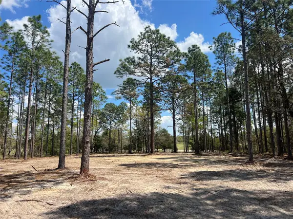 16 SE 136 Terrace, DUNNELLON, FL 34431