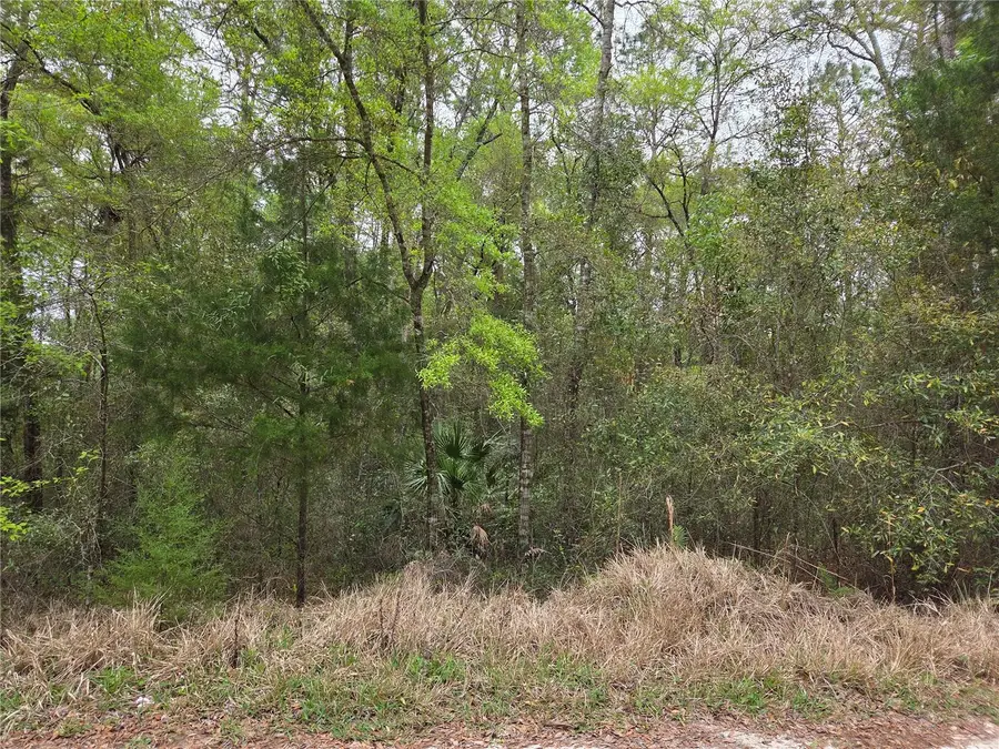 0000 NE 138th Terrace, Williston, FL 32696 - #2