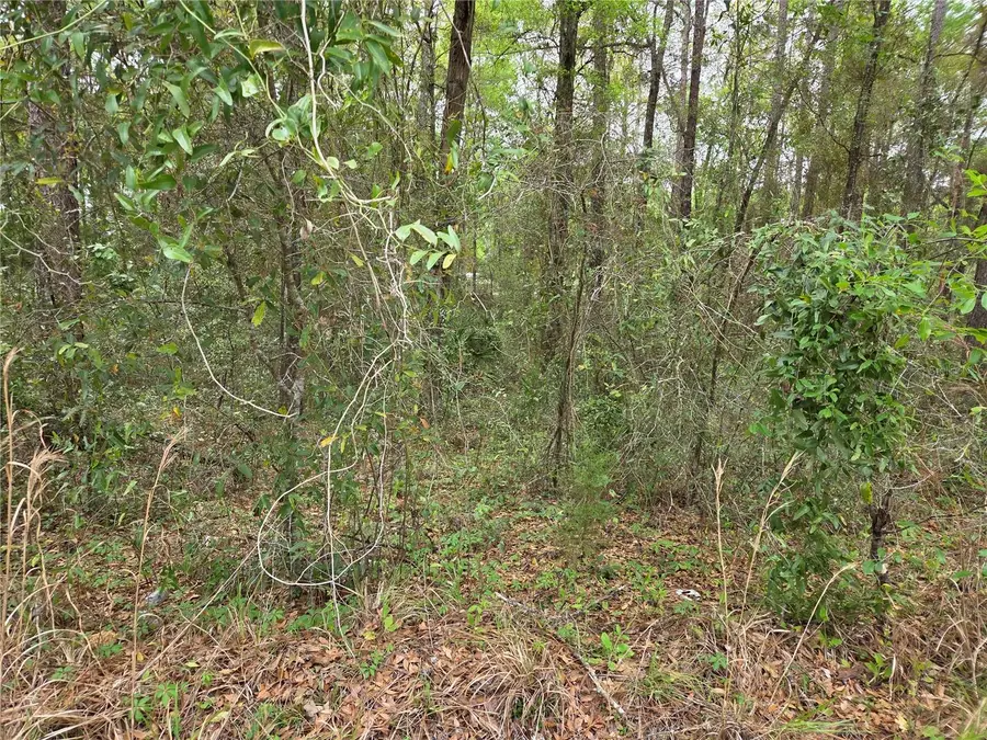 0000 NE 138th Terrace, Williston, FL 32696 - #3