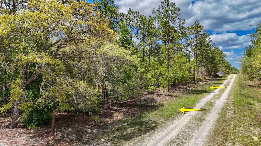 TBD SW 137th Court Road, Dunnellon, FL 34432 - #2